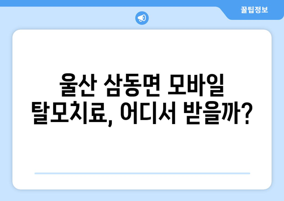 울산시 울주군 삼동면 모바일식 탈모치료 잘하는곳 두피관리 추천 베스트 헤어라인 정수리 비용 후기