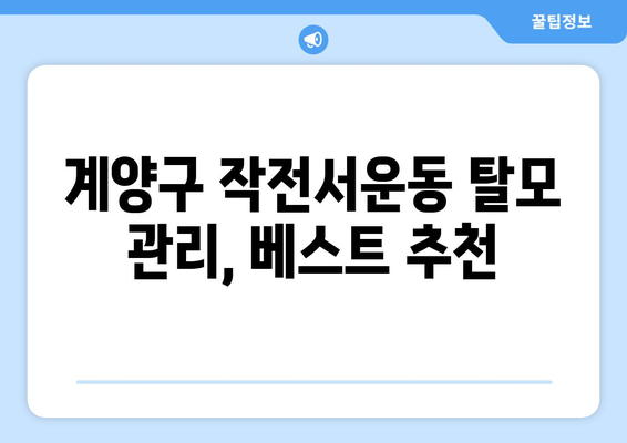 인천시 계양구 작전서운동 모바일식 탈모치료 잘하는곳 두피관리 추천 베스트 헤어라인 정수리 비용 후기