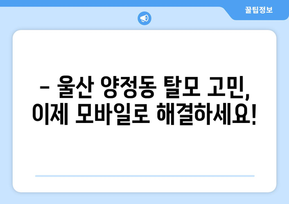 울산시 북구 양정동 모바일식 탈모치료 잘하는곳 두피관리 추천 베스트 헤어라인 정수리 비용 후기