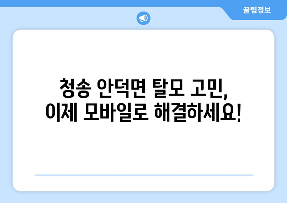 경상북도 청송군 안덕면 모바일식 탈모치료 잘하는곳 두피관리 추천 베스트 헤어라인 정수리 비용 후기