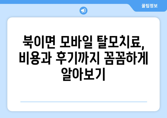 충청북도 청주시 청원구 북이면 모바일식 탈모치료 잘하는곳 두피관리 추천 베스트 헤어라인 정수리 비용 후기
