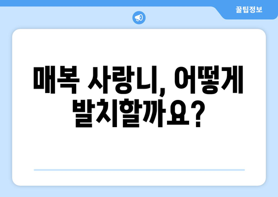인천시 계양구 작전서운동 사랑니 치과 매복 발치 잘하는 곳 비용 | 후기 | 추천