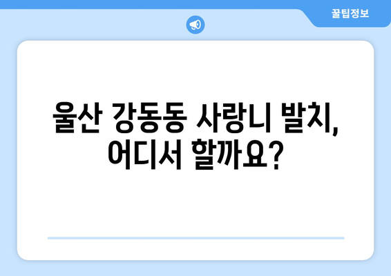 울산시 북구 강동동 사랑니 치과 매복 발치 잘하는 곳 비용 | 후기 | 추천