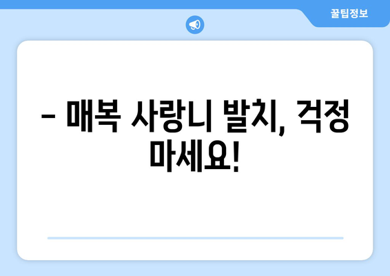 대전시 서구 가장동 사랑니 치과 매복 발치 잘하는 곳 비용 | 후기 | 추천