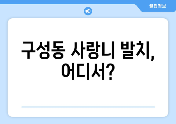 대전시 유성구 구성동 사랑니 치과 매복 발치 잘하는 곳 비용 | 후기 | 추천