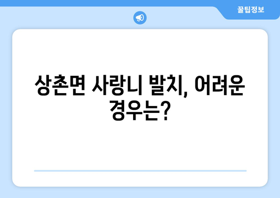 충청북도 영동군 상촌면 사랑니 치과 매복 발치 잘하는 곳 비용 | 후기 | 추천