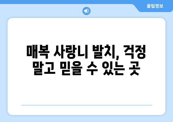 경상북도 청송군 진보면 사랑니 치과 매복 발치 잘하는 곳 비용 | 후기 | 추천