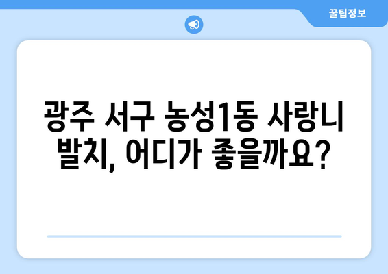 광주시 서구 농성1동 사랑니 치과 매복 발치 잘하는 곳 비용 | 후기 | 추천