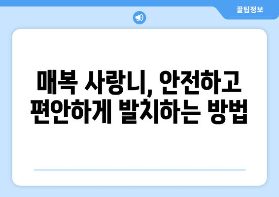 강원도 태백시 황연동 사랑니 치과 매복 발치 잘하는 곳 비용 | 후기 | 추천