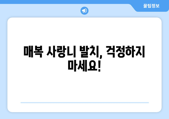 대구시 군위군 군위읍 사랑니 치과 매복 발치 잘하는 곳 비용 | 후기 | 추천