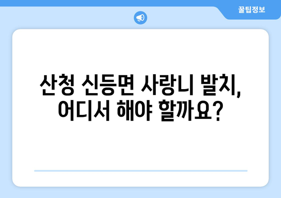 경상남도 산청군 신등면 사랑니 치과 매복 발치 잘하는 곳 비용 | 후기 | 추천