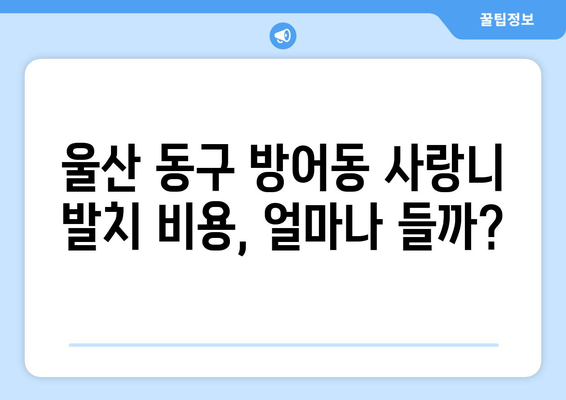 울산시 동구 방어동 사랑니 치과 매복 발치 잘하는 곳 비용 | 후기 | 추천