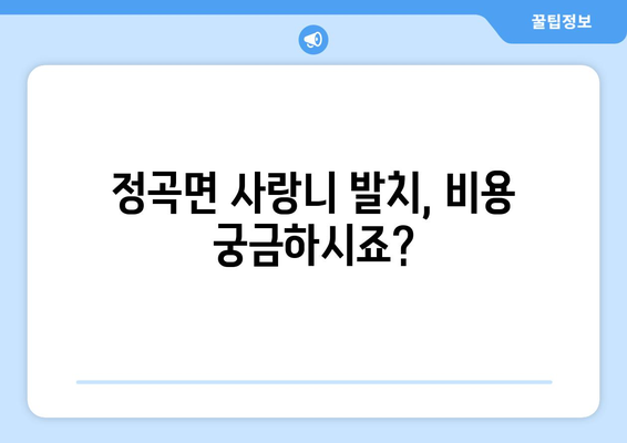 경상남도 의령군 정곡면 사랑니 치과 매복 발치 잘하는 곳 비용 | 후기 | 추천