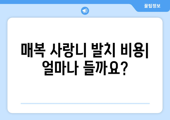 부산시 해운대구 반여1동 사랑니 치과 매복 발치 잘하는 곳 비용 | 후기 | 추천