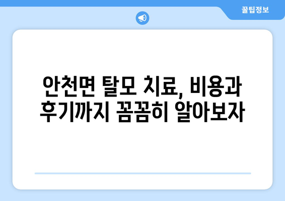 전라북도 진안군 안천면 모바일식 탈모치료 잘하는곳 두피관리 추천 베스트 헤어라인 정수리 비용 후기