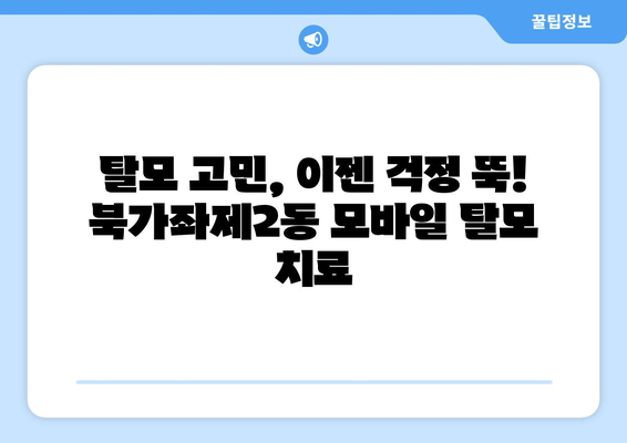 서울시 서대문구 북가좌제2동 모바일식 탈모치료 잘하는곳 두피관리 추천 베스트 헤어라인 정수리 비용 후기