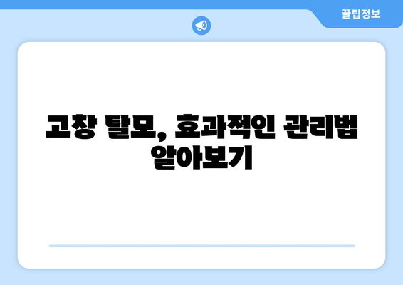 전라북도 고창군 고창읍 모바일식 탈모치료 잘하는곳 두피관리 추천 베스트 헤어라인 정수리 비용 후기