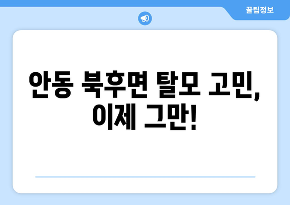 경상북도 안동시 북후면 모바일식 탈모치료 잘하는곳 두피관리 추천 베스트 헤어라인 정수리 비용 후기
