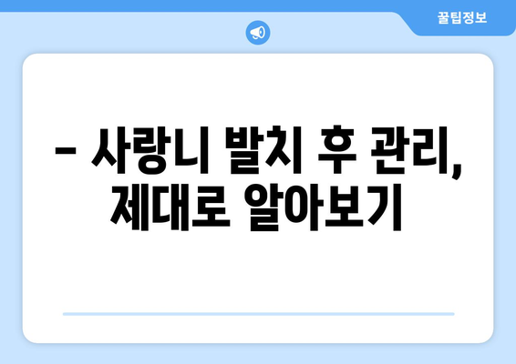 부산시 중구 영주1동 사랑니 치과 매복 발치 잘하는 곳 비용 | 후기 | 추천