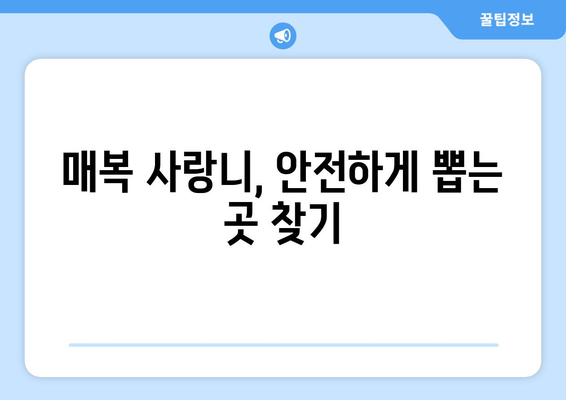 광주시 북구 우산동 사랑니 치과 매복 발치 잘하는 곳 비용 | 후기 | 추천