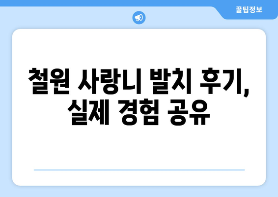 강원도 철원군 철원읍 사랑니 치과 매복 발치 잘하는 곳 비용 | 후기 | 추천