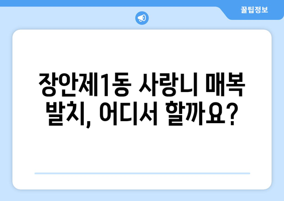 서울시 동대문구 장안제1동 사랑니 치과 매복 발치 잘하는 곳 비용 | 후기 | 추천