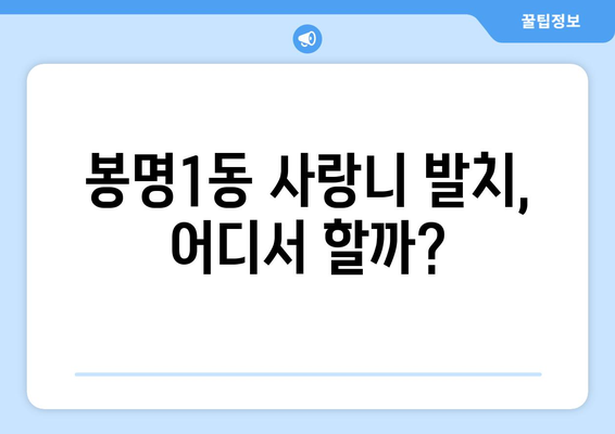 충청북도 청주시 흥덕구 봉명1동 사랑니 치과 매복 발치 잘하는 곳 비용 | 후기 | 추천