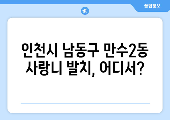 인천시 남동구 만수2동 사랑니 치과 매복 발치 잘하는 곳 비용 | 후기 | 추천