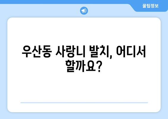 광주시 광산구 우산동 사랑니 치과 매복 발치 잘하는 곳 비용 | 후기 | 추천