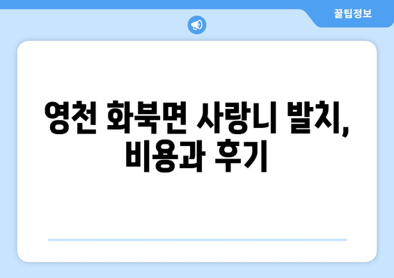 경상북도 영천시 화북면 사랑니 치과 매복 발치 잘하는 곳 비용 | 후기 | 추천