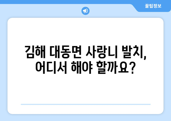 경상남도 김해시 대동면 사랑니 치과 매복 발치 잘하는 곳 비용 | 후기 | 추천