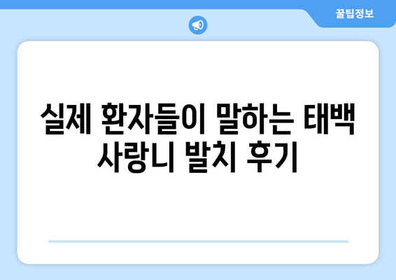 강원도 태백시 황지동 사랑니 치과 매복 발치 잘하는 곳 비용 | 후기 | 추천