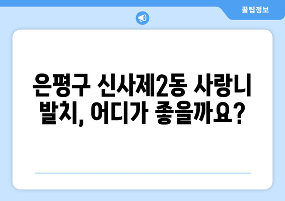 서울시 은평구 신사제2동 사랑니 치과 매복 발치 잘하는 곳 비용 | 후기 | 추천