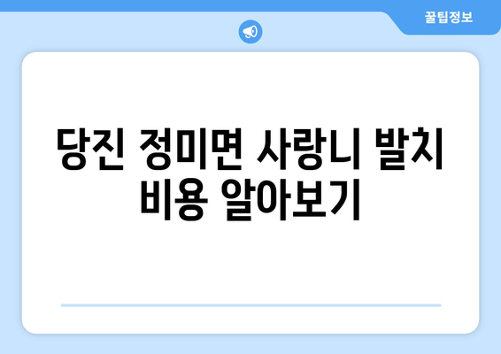 충청남도 당진시 정미면 사랑니 치과 매복 발치 잘하는 곳 비용 | 후기 | 추천