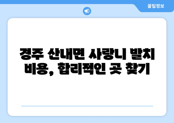 경상북도 경주시 산내면 사랑니 치과 매복 발치 잘하는 곳 비용 | 후기 | 추천