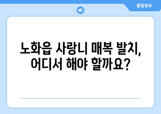 전라남도 완도군 노화읍 사랑니 치과 매복 발치 잘하는 곳 비용 | 후기 | 추천