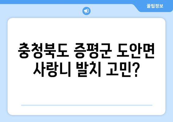 충청북도 증평군 도안면 사랑니 치과 매복 발치 잘하는 곳 비용 | 후기 | 추천