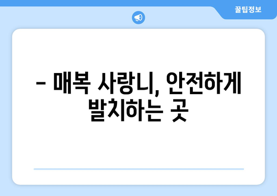 인천시 연수구 선학동 사랑니 치과 매복 발치 잘하는 곳 비용 | 후기 | 추천