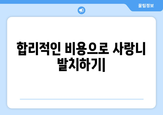 충청북도 영동군 황간면 사랑니 치과 매복 발치 잘하는 곳 비용 | 후기 | 추천