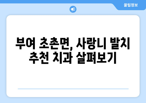 충청남도 부여군 초촌면 사랑니 치과 매복 발치 잘하는 곳 비용 | 후기 | 추천