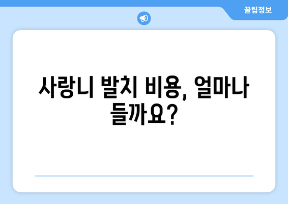 전라북도 진안군 마령면 사랑니 치과 매복 발치 잘하는 곳 비용 | 후기 | 추천