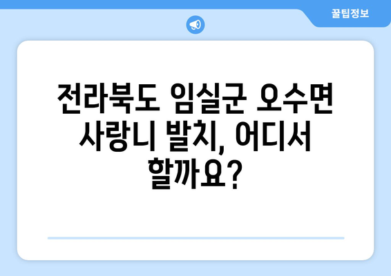 전라북도 임실군 오수면 사랑니 치과 매복 발치 잘하는 곳 비용 | 후기 | 추천