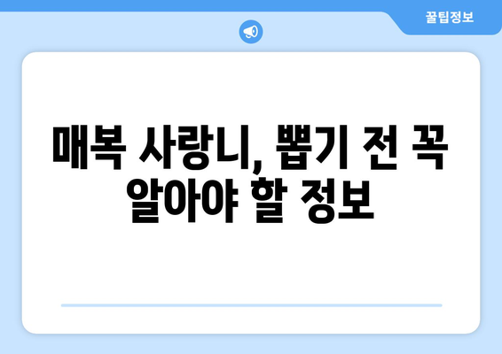 전라북도 군산시 흥남동 사랑니 치과 매복 발치 잘하는 곳 비용 | 후기 | 추천