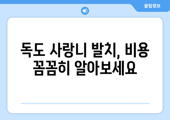 경상북도 울릉군 독도 사랑니 치과 매복 발치 잘하는 곳 비용 | 후기 | 추천