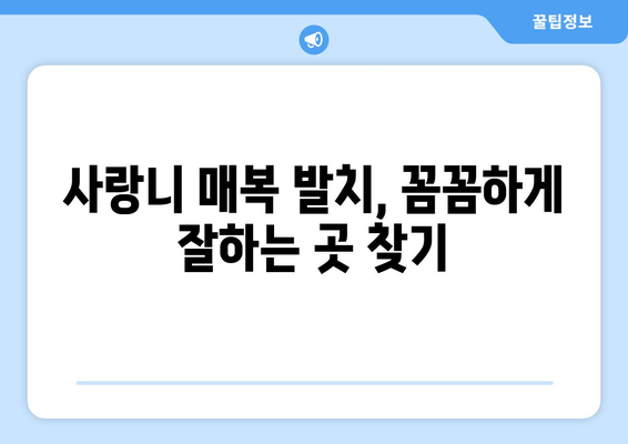 전라북도 고창군 부안면 사랑니 치과 매복 발치 잘하는 곳 비용 | 후기 | 추천