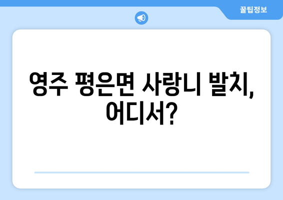 경상북도 영주시 평은면 사랑니 치과 매복 발치 잘하는 곳 비용 | 후기 | 추천
