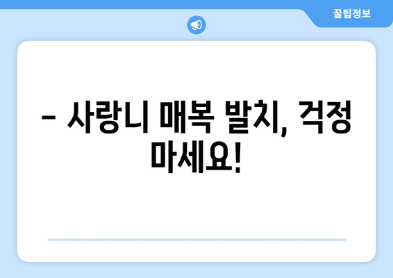 세종시 세종특별자치시 한솔동 사랑니 치과 매복 발치 잘하는 곳 비용 | 후기 | 추천
