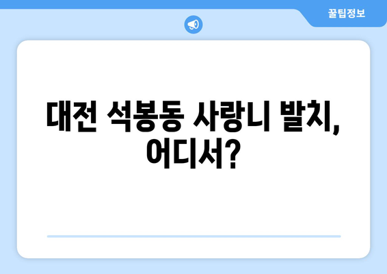 대전시 대덕구 석봉동 사랑니 치과 매복 발치 잘하는 곳 비용 | 후기 | 추천