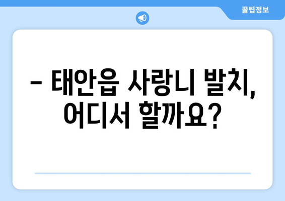 충청남도 태안군 태안읍 사랑니 치과 매복 발치 잘하는 곳 비용 | 후기 | 추천