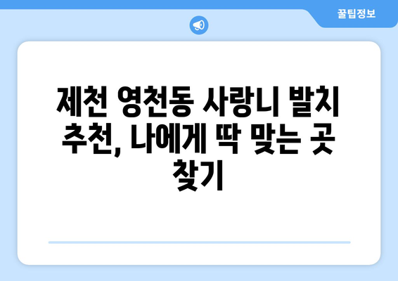 충청북도 제천시 영천동 사랑니 치과 매복 발치 잘하는 곳 비용 | 후기 | 추천